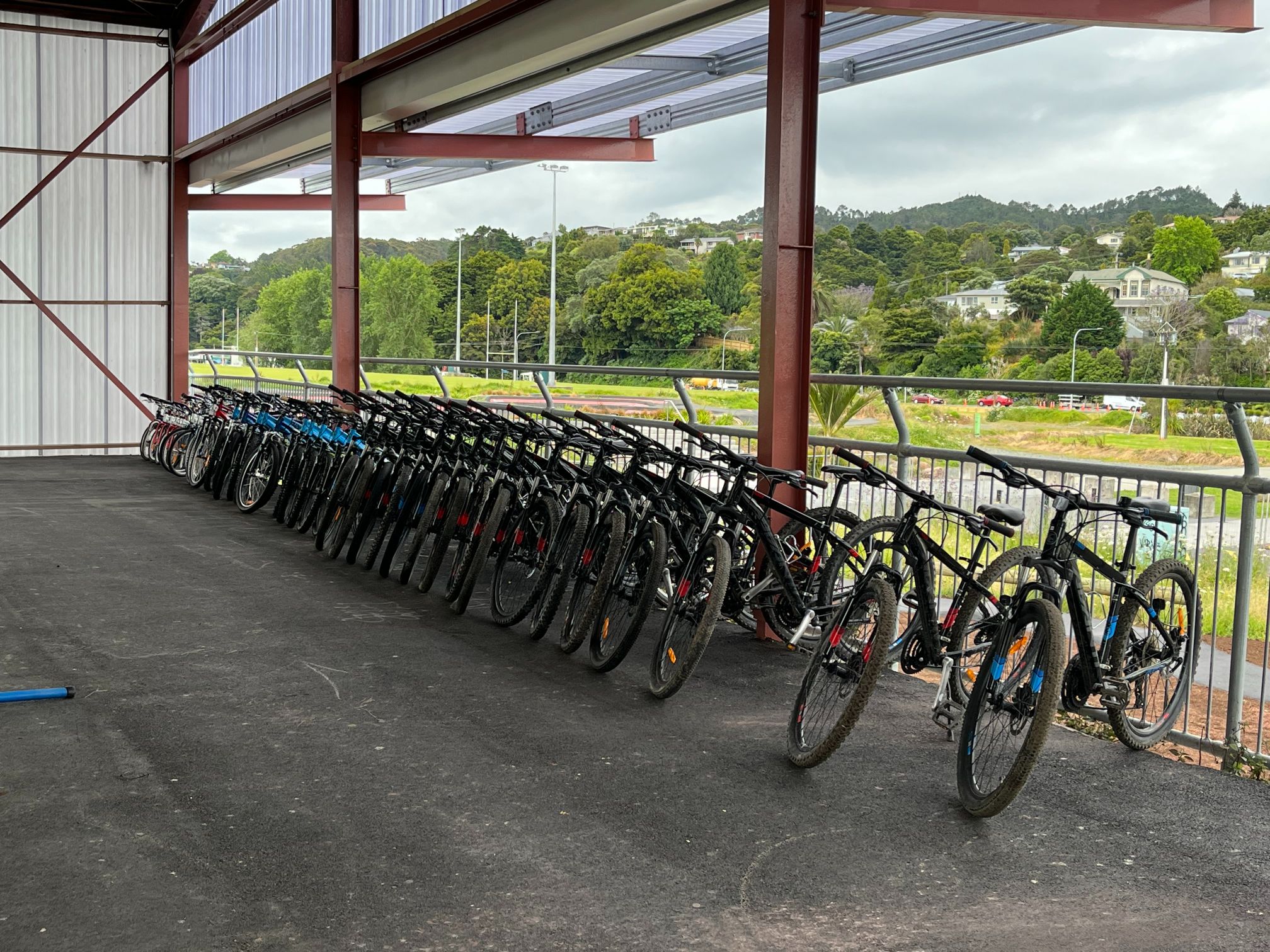 Te Horo School trip to Pohe Island Bike Park Bike Northland Bikes